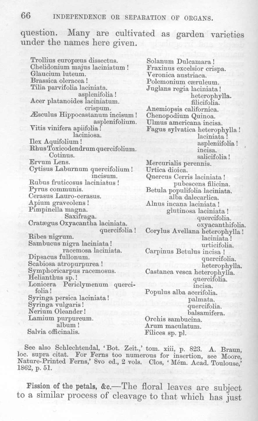 seite_102.jpg
