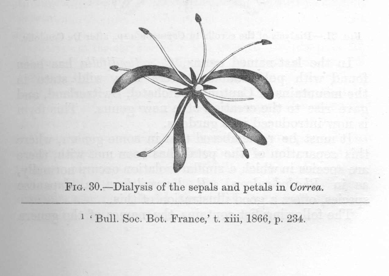 seite_107a.jpg
