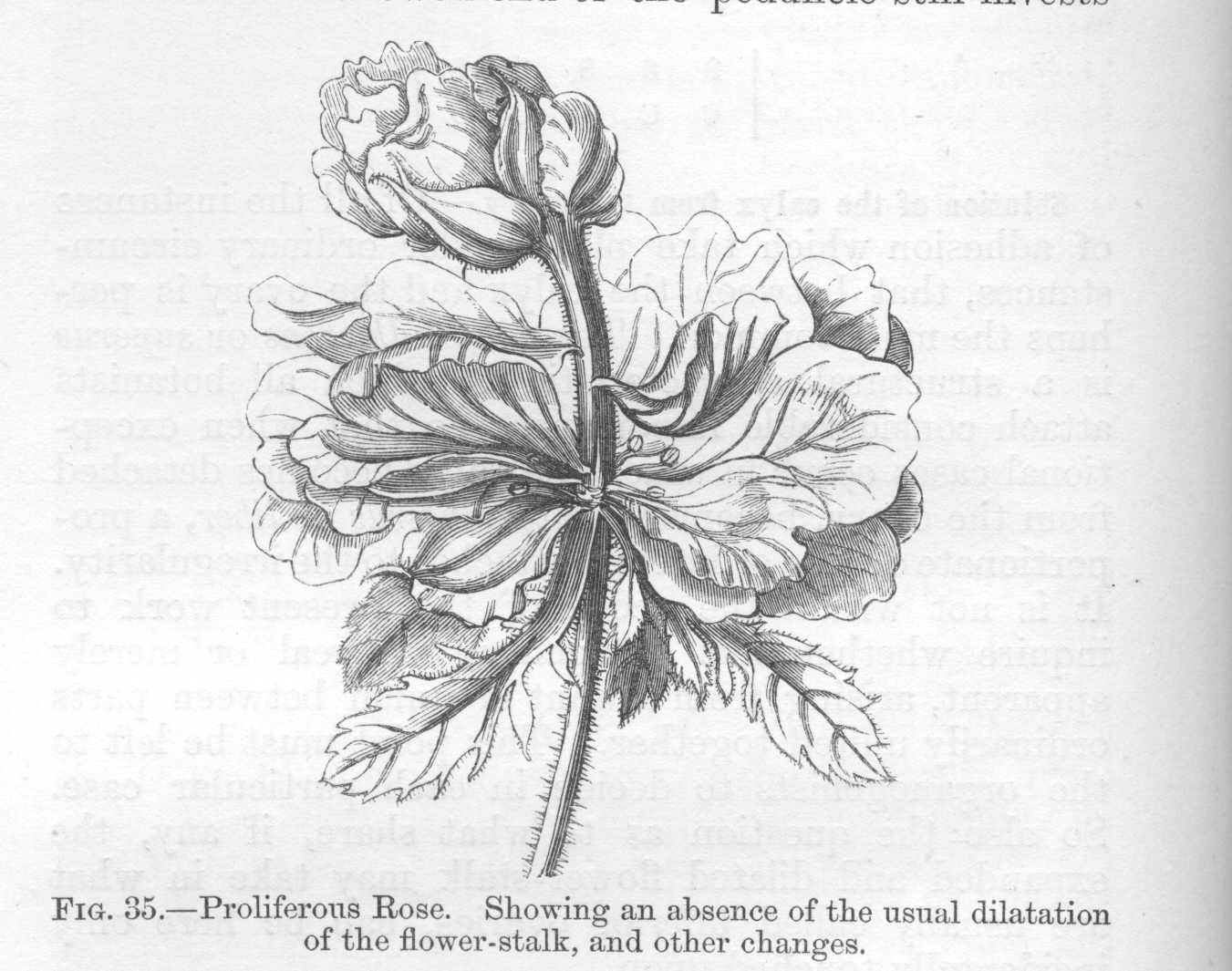 seite_114a.jpg