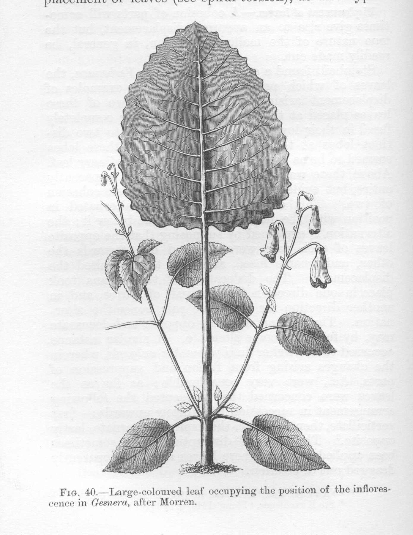 seite_124a.jpg