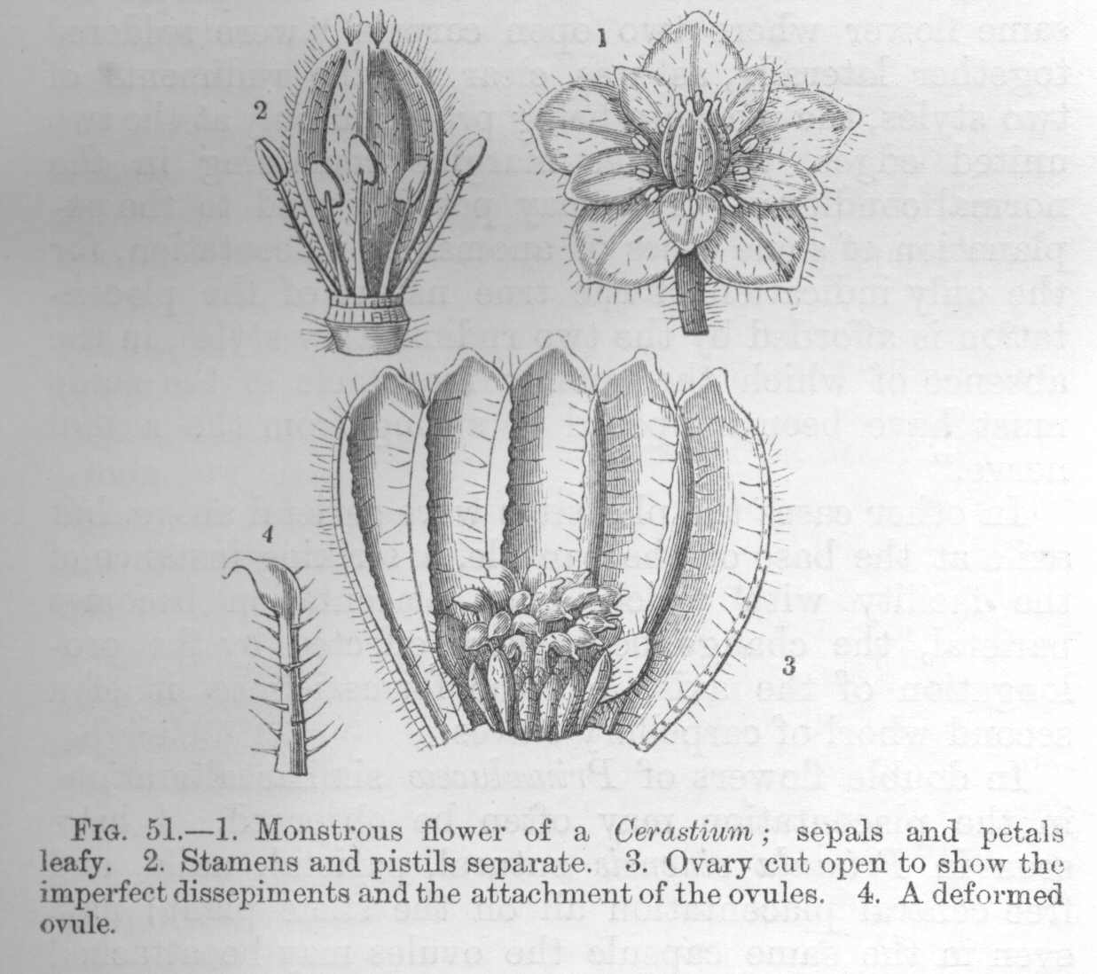 seite_133a.jpg