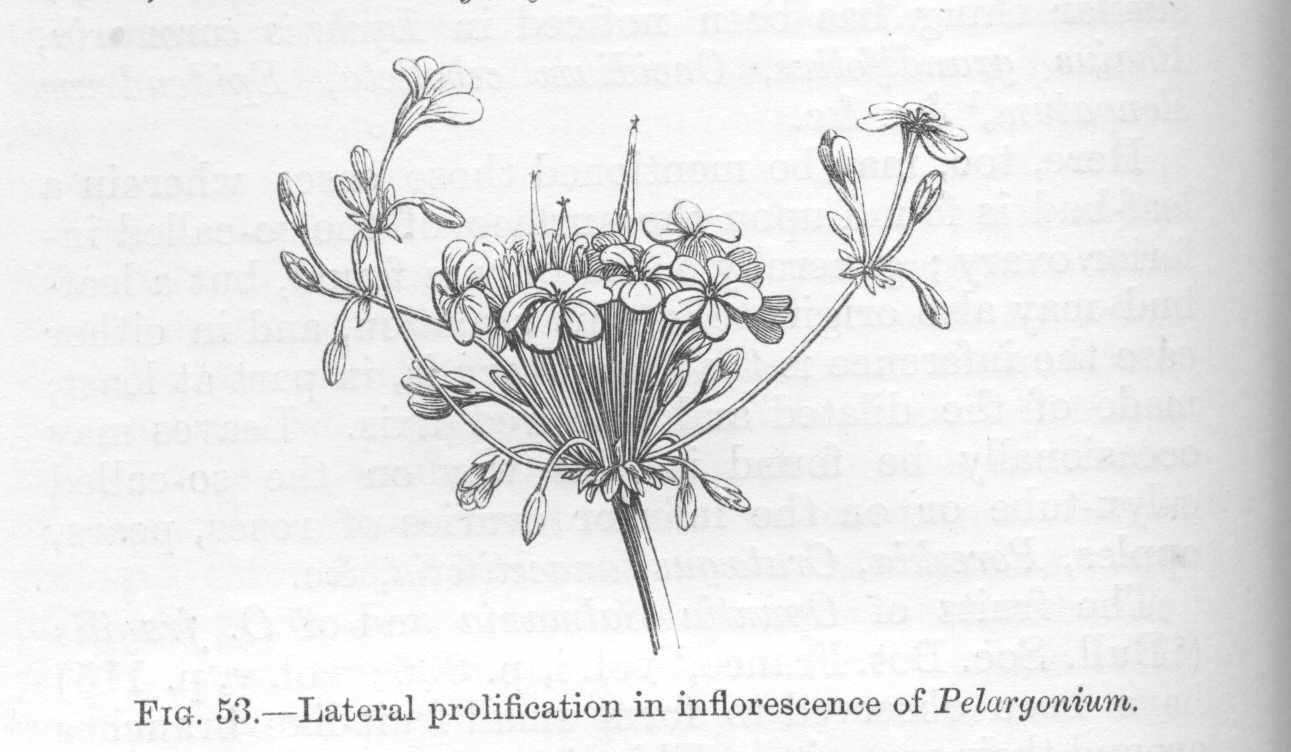seite_144a.jpg