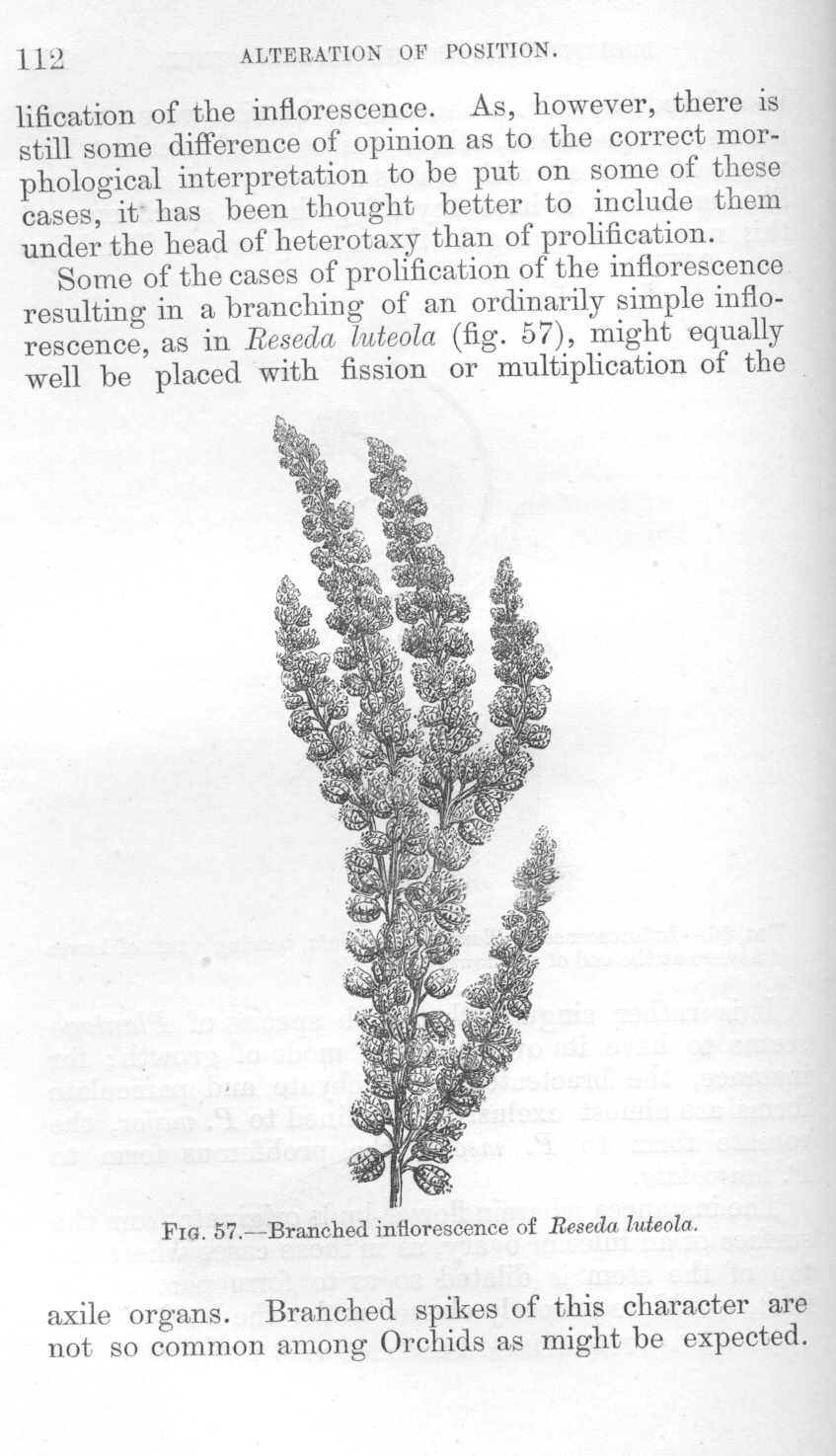 seite_148.jpg