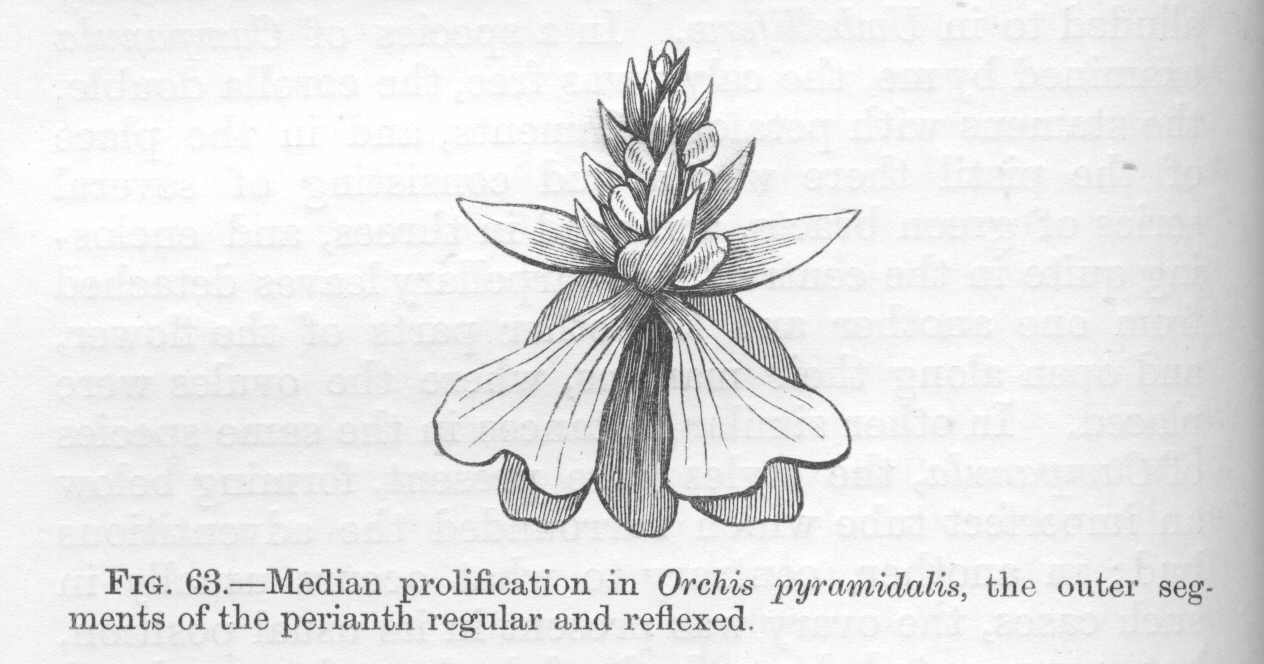 seite_162a.jpg