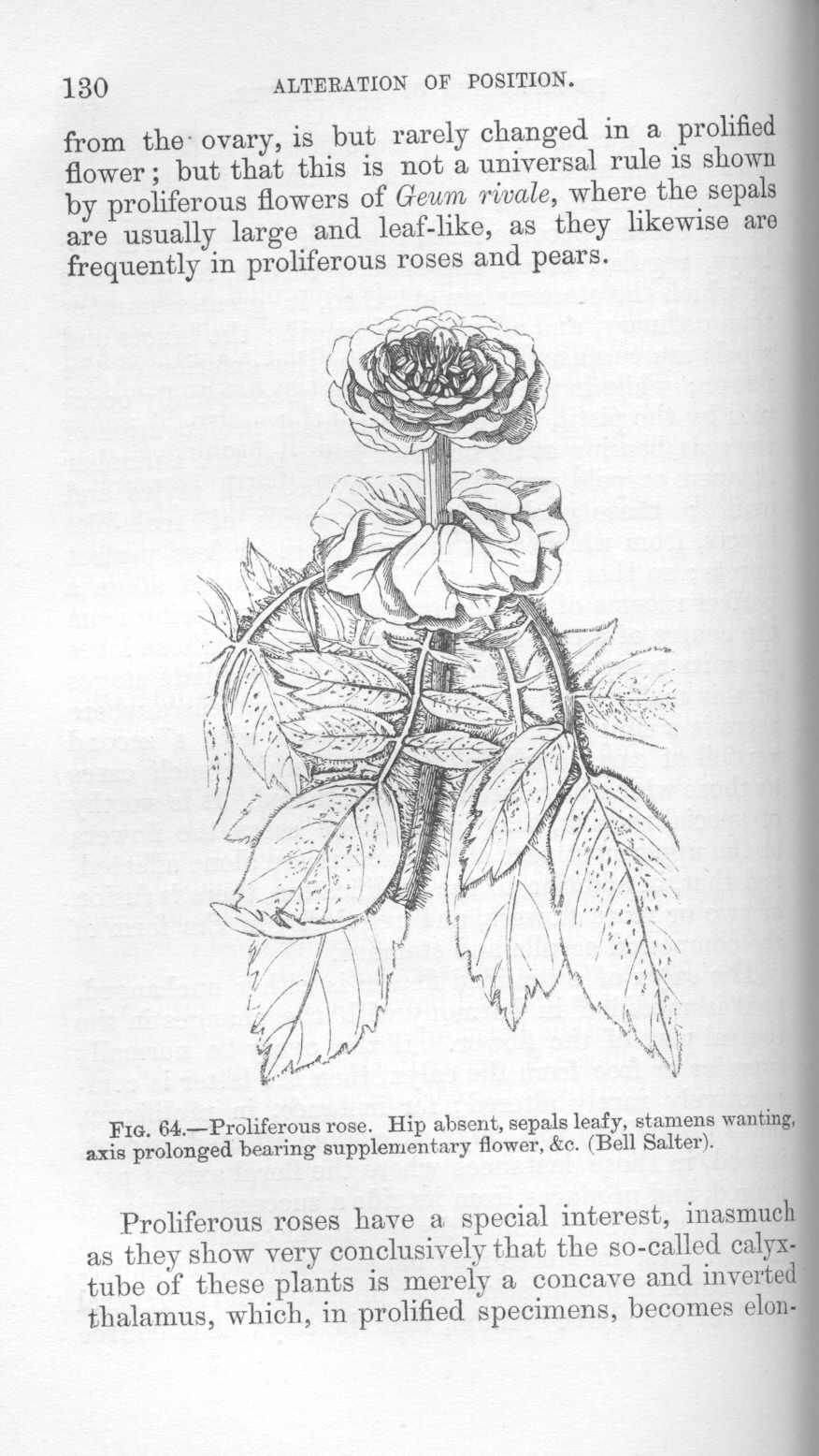 seite_164.jpg
