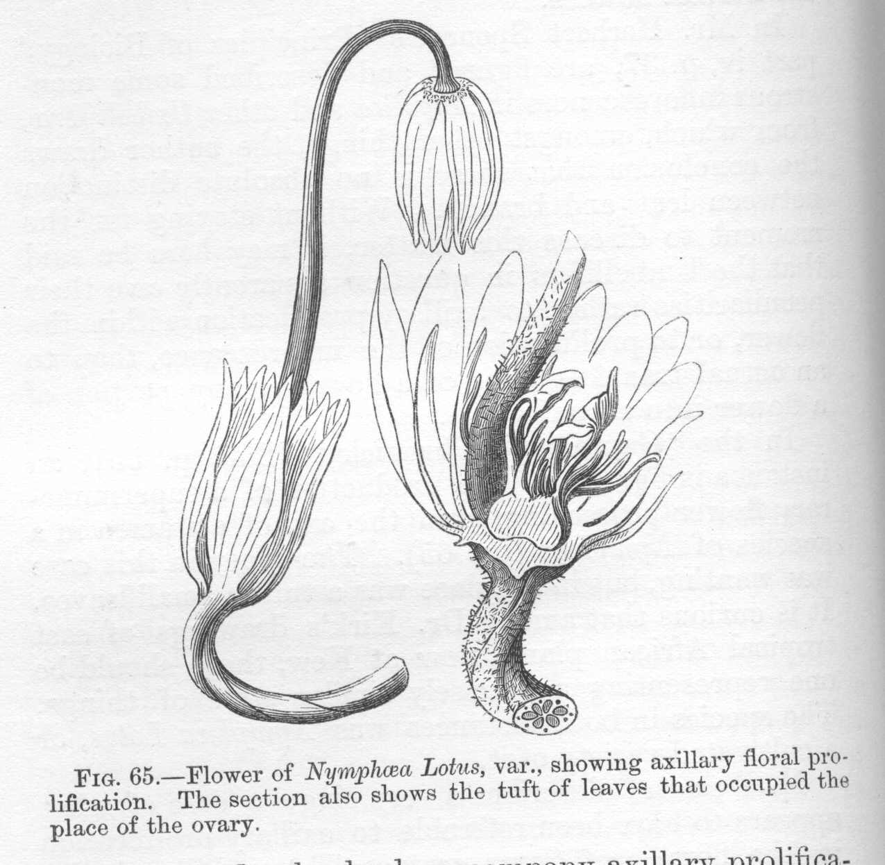seite_178a.jpg