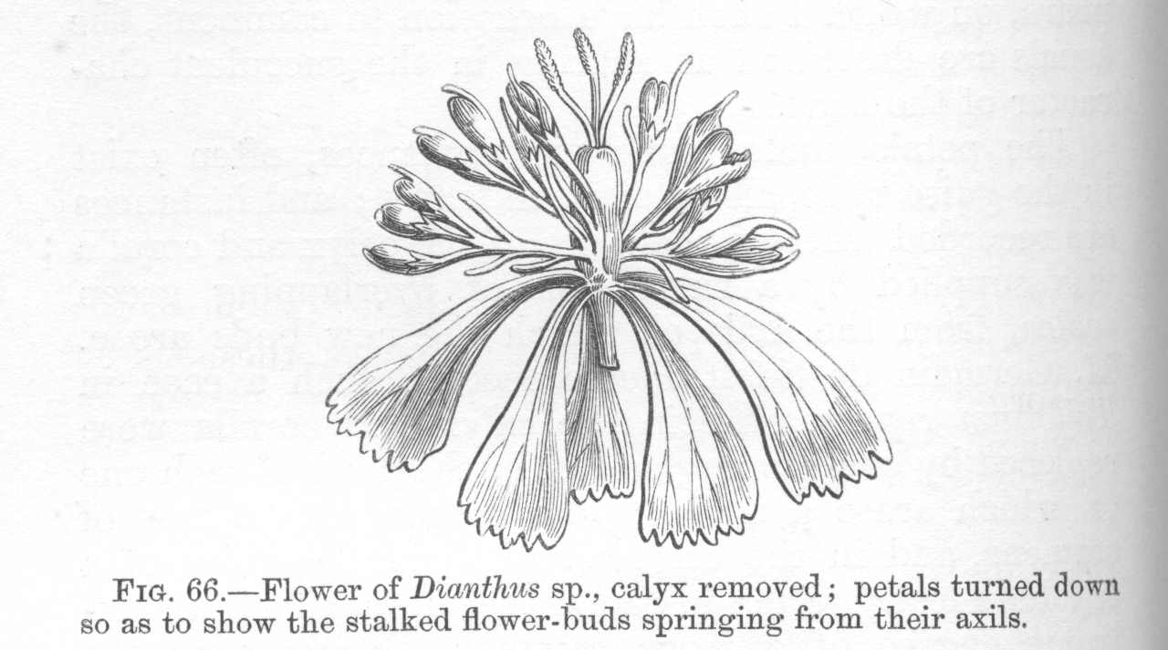 seite_180a.jpg