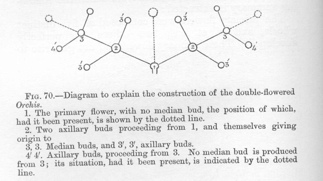 seite_188a.jpg