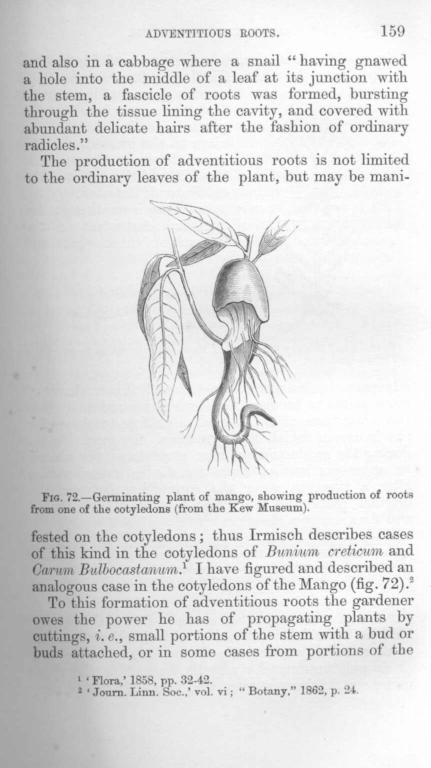 seite_193.jpg