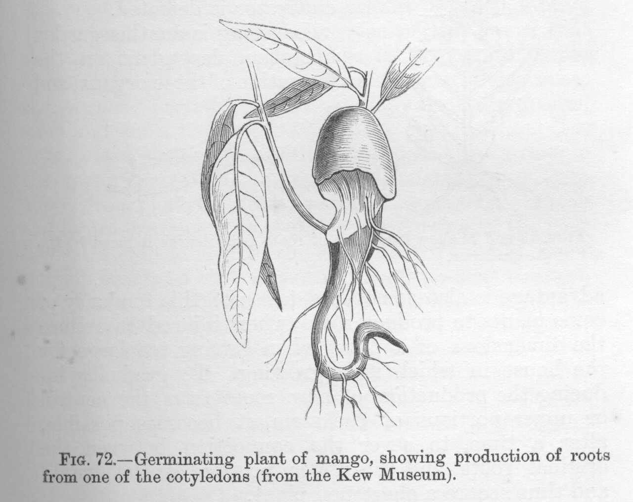 seite_193a.jpg