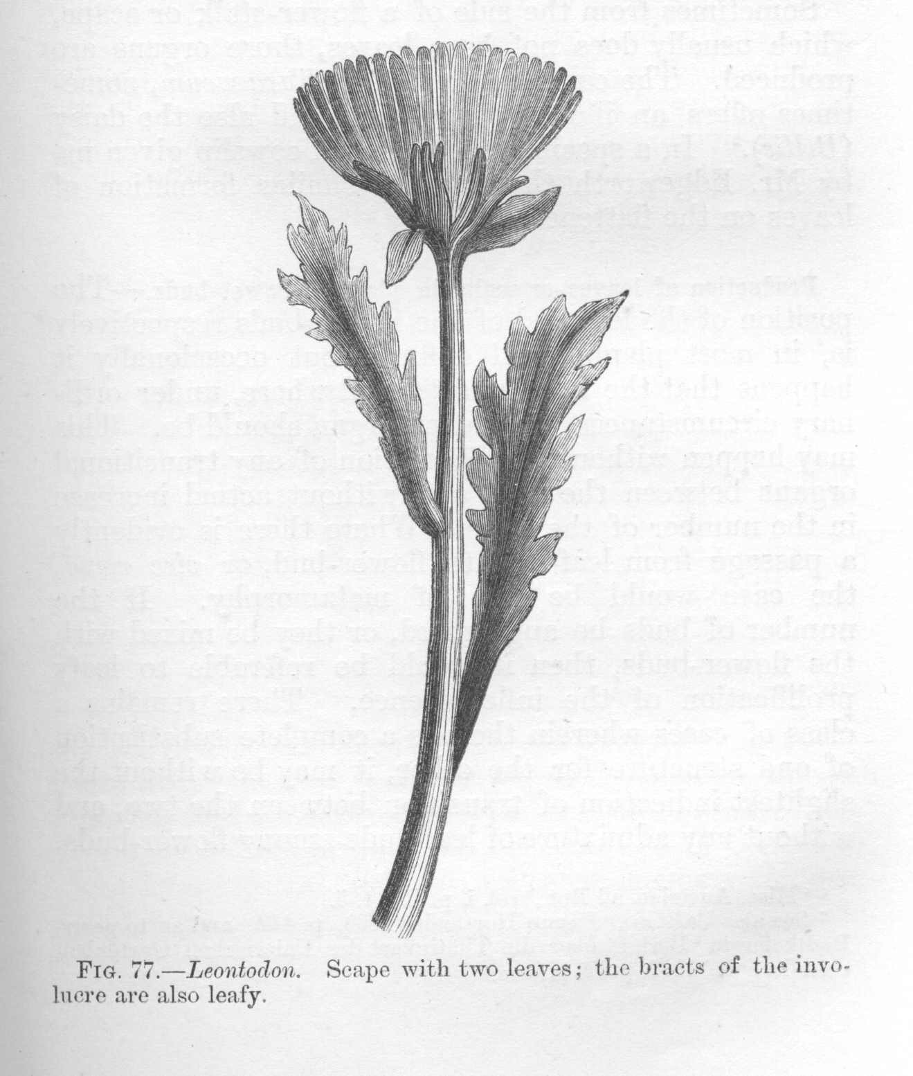 seite_197a.jpg