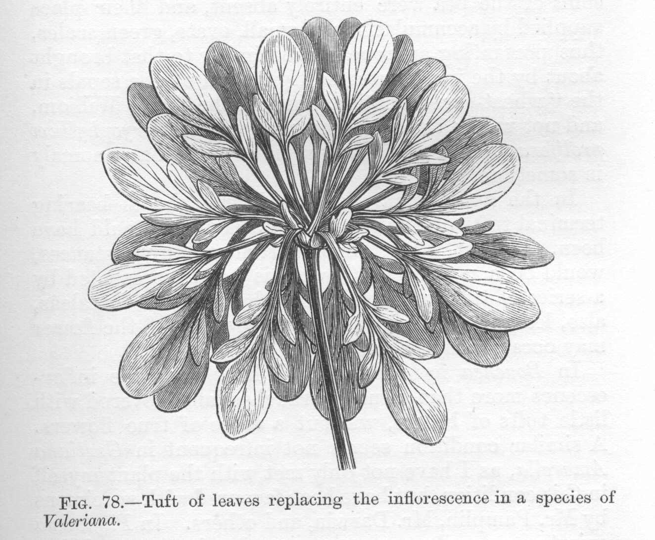 seite_199a.jpg