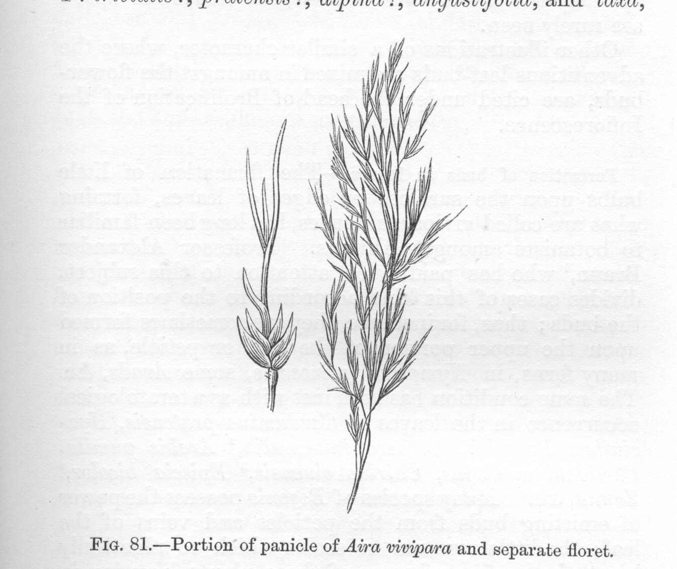 seite_203a.jpg