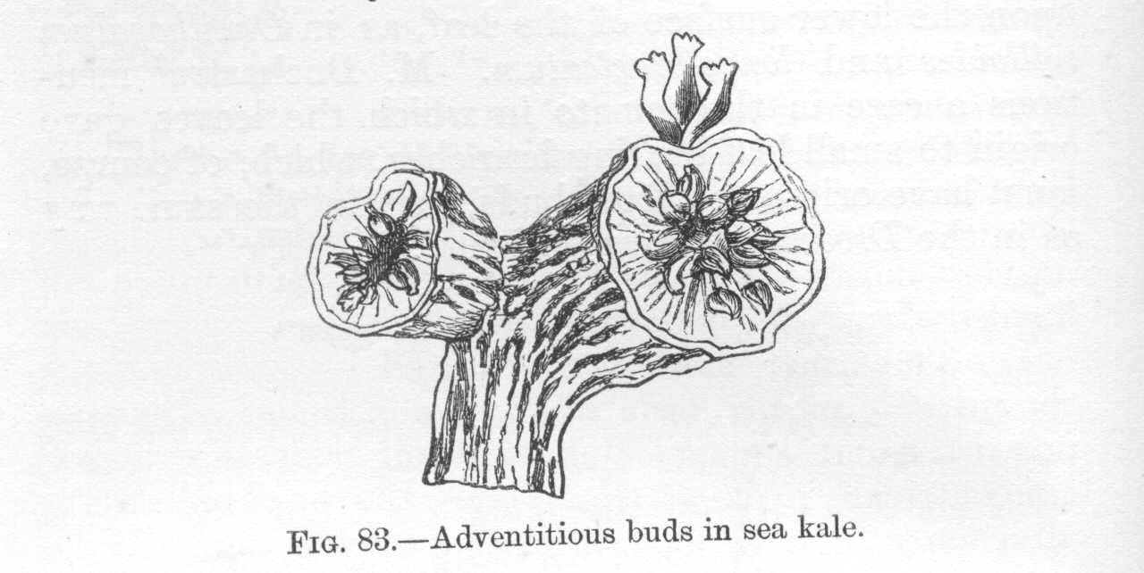 seite_206a.jpg