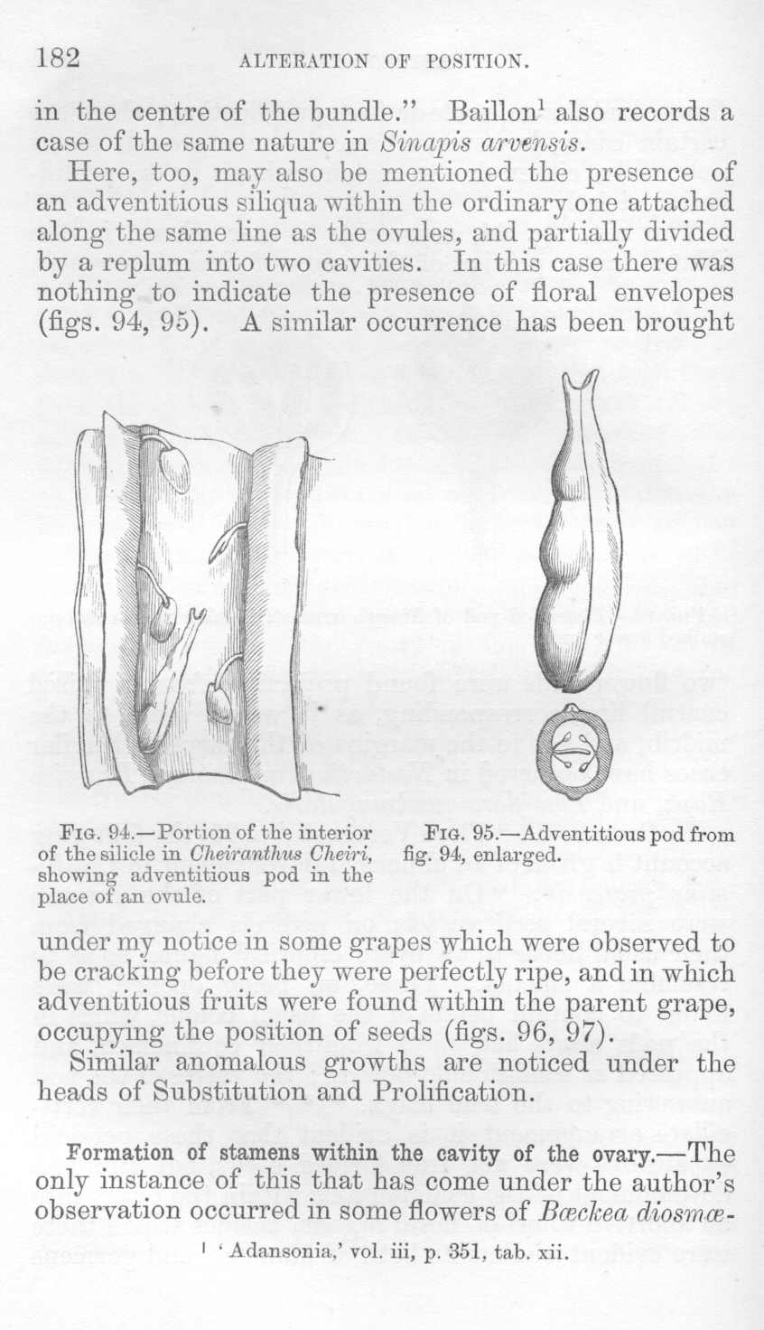 seite_216.jpg