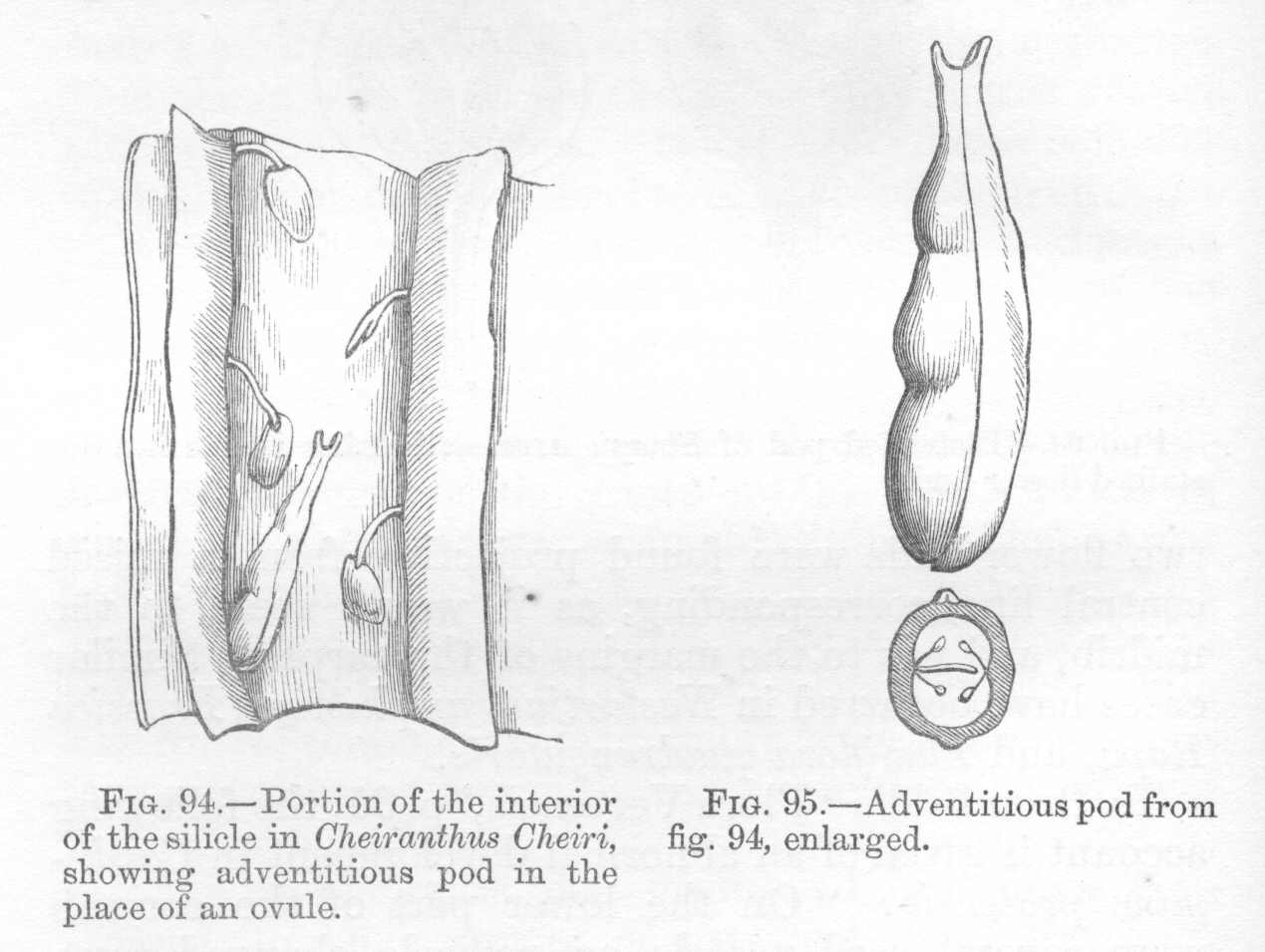 seite_216a.jpg