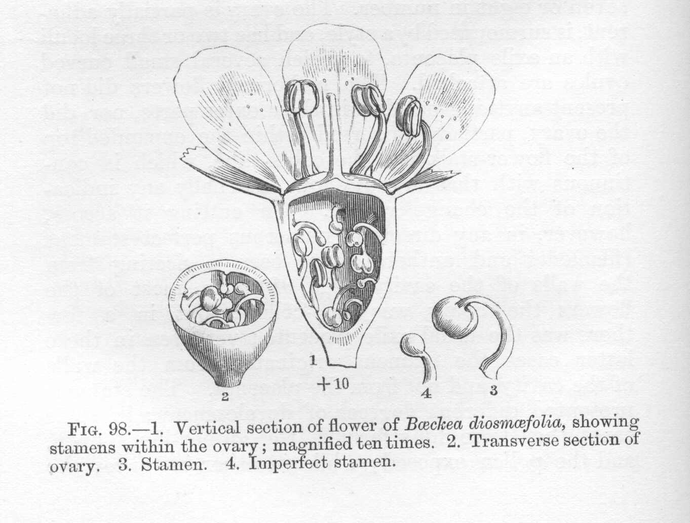 seite_218a.jpg