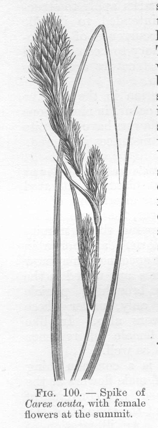 seite_226a.jpg