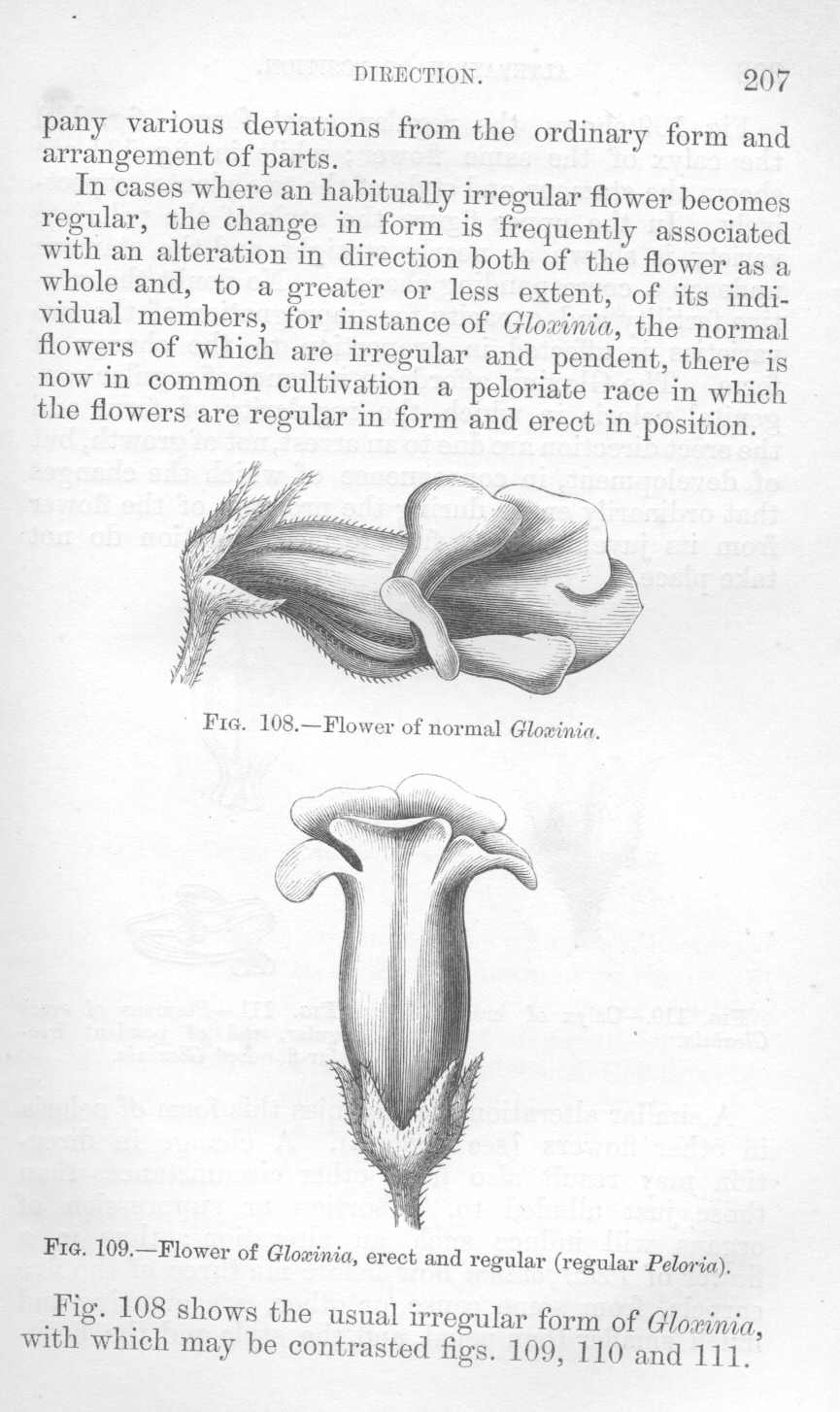 seite_240.jpg