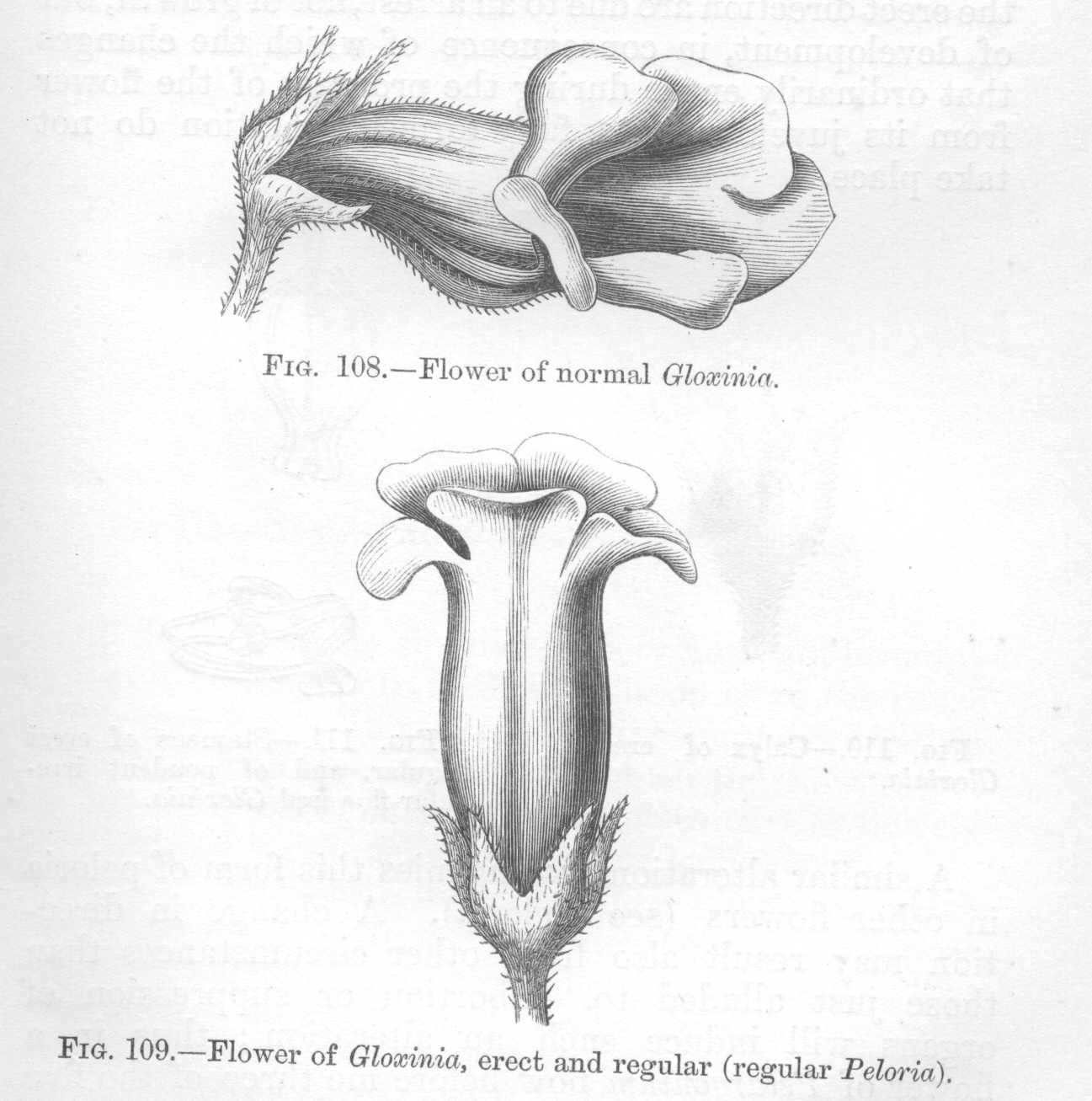 seite_240a.jpg