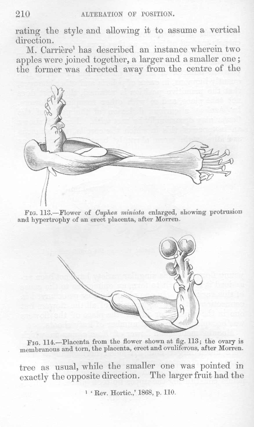 seite_244.jpg