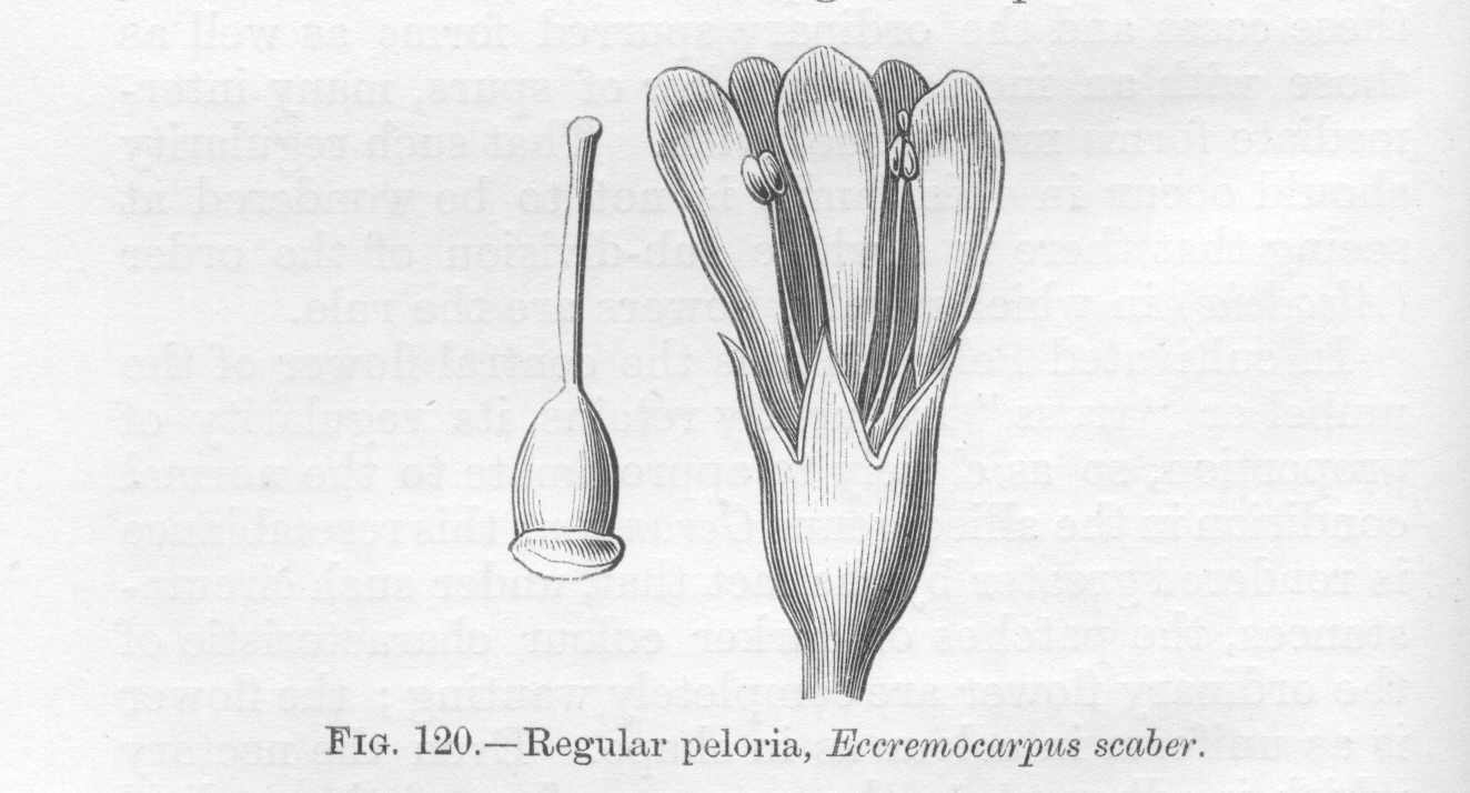 seite_256a.jpg