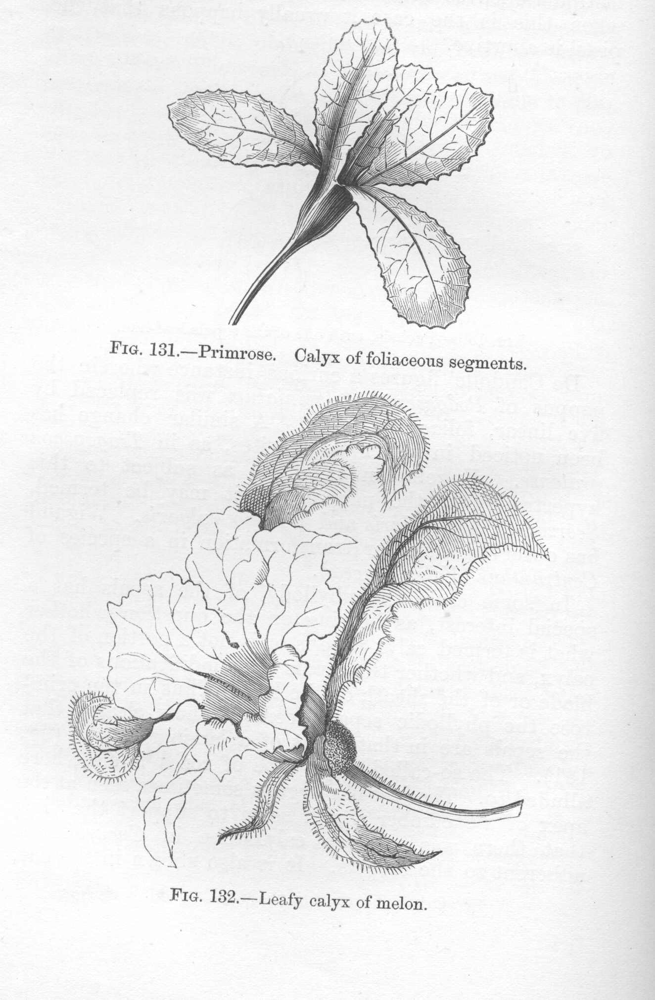 seite_280a.jpg