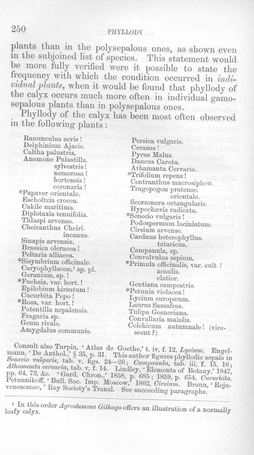 seite_282.jpg
