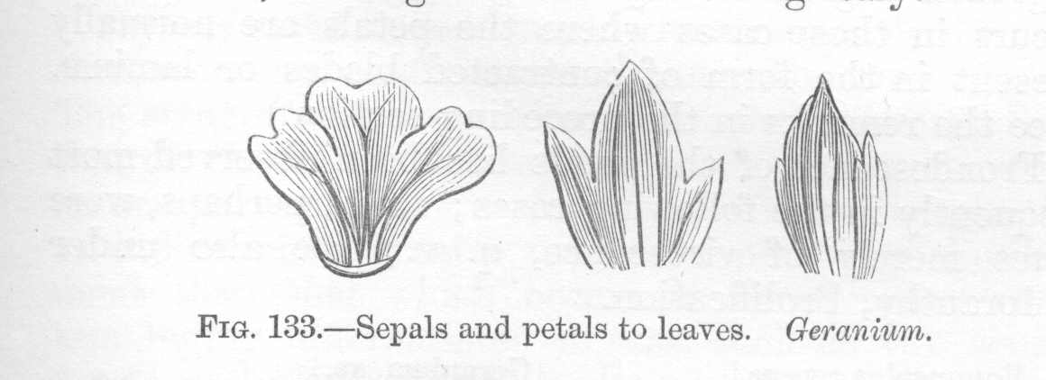 seite_287a.jpg