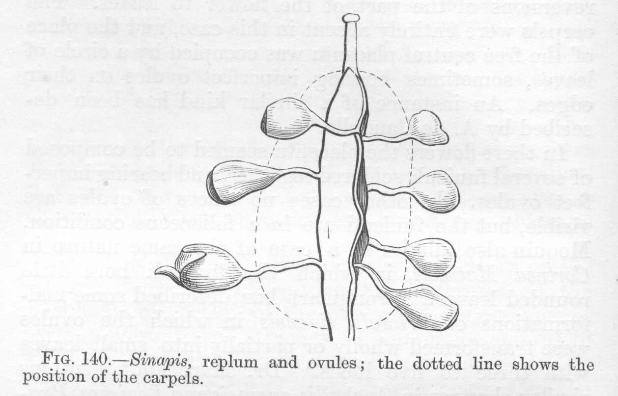 seite_298a.jpg