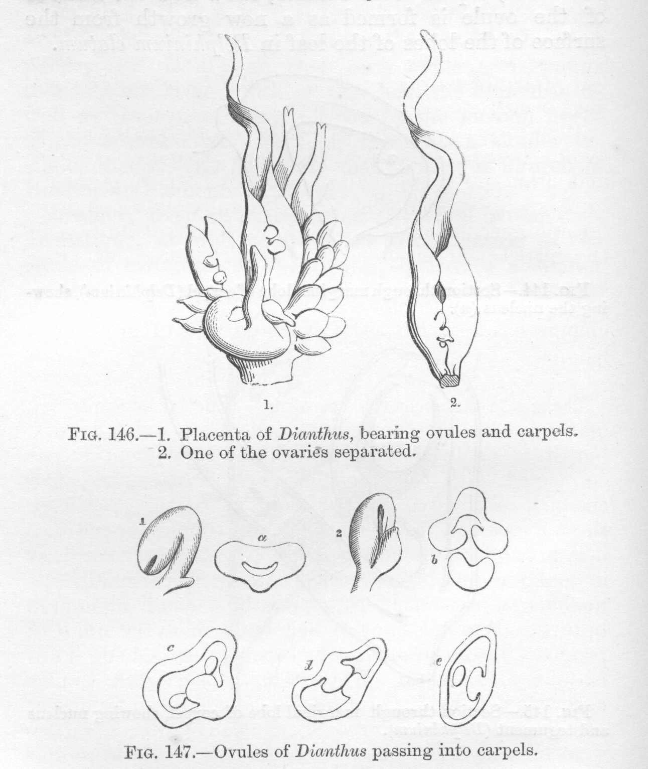 seite_302a.jpg