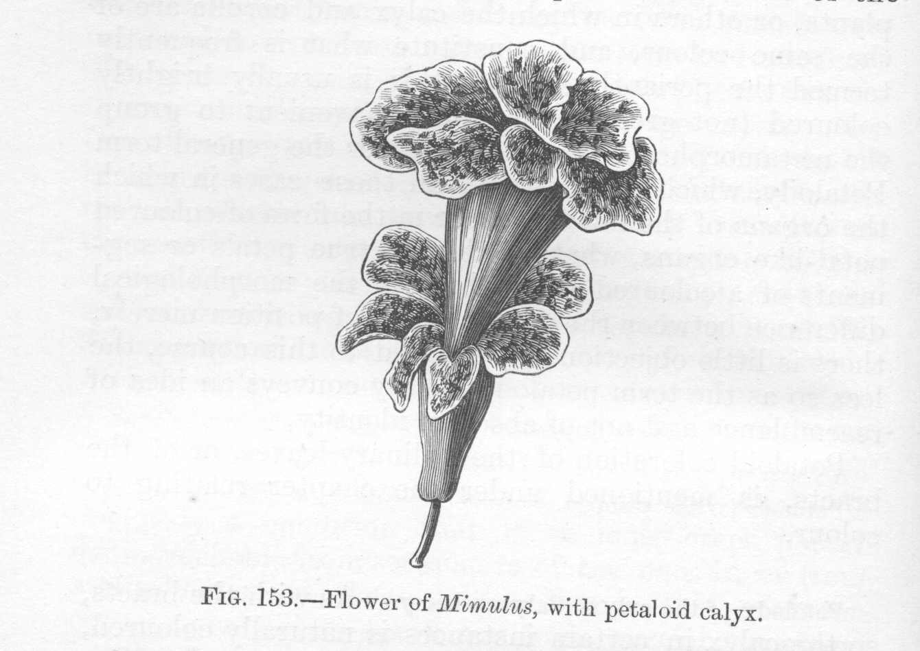 seite_318a.jpg
