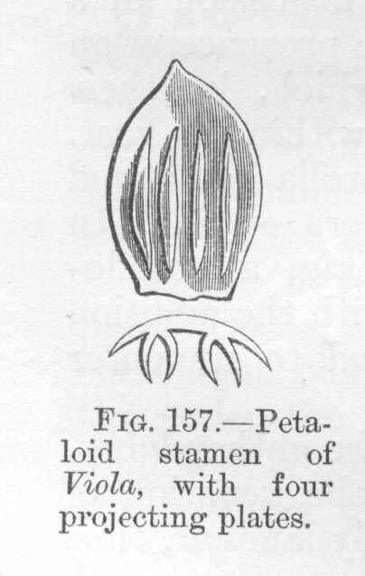 seite_326a.jpg
