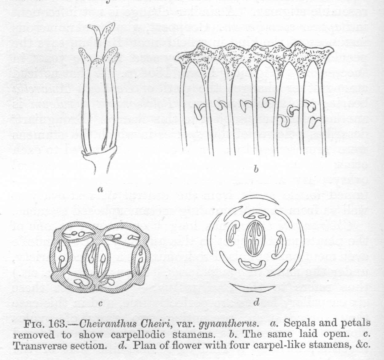 seite_339a.jpg