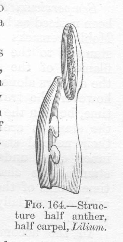 seite_340a.jpg