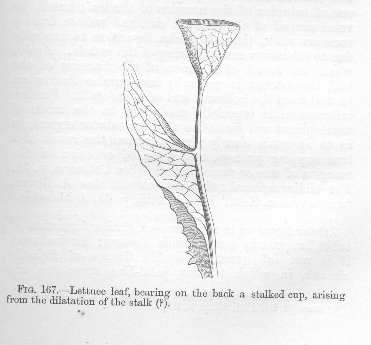 seite_347a.jpg