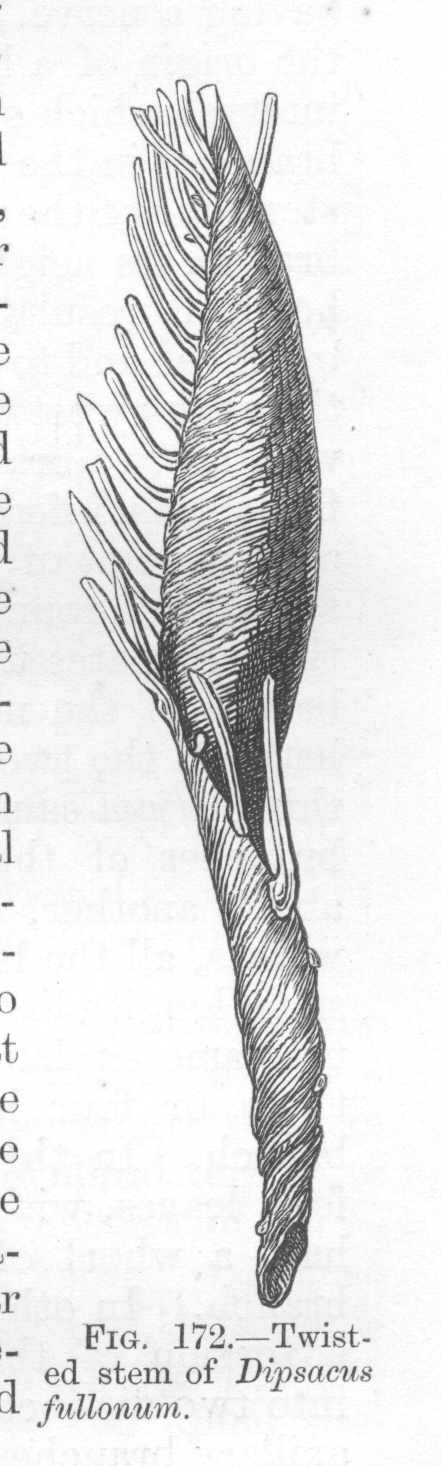 seite_355a.jpg