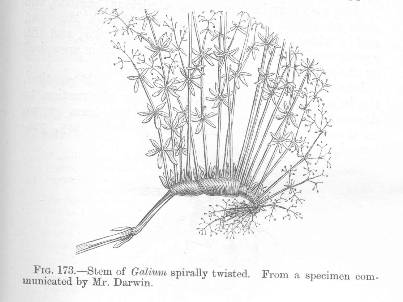 seite_357a.jpg