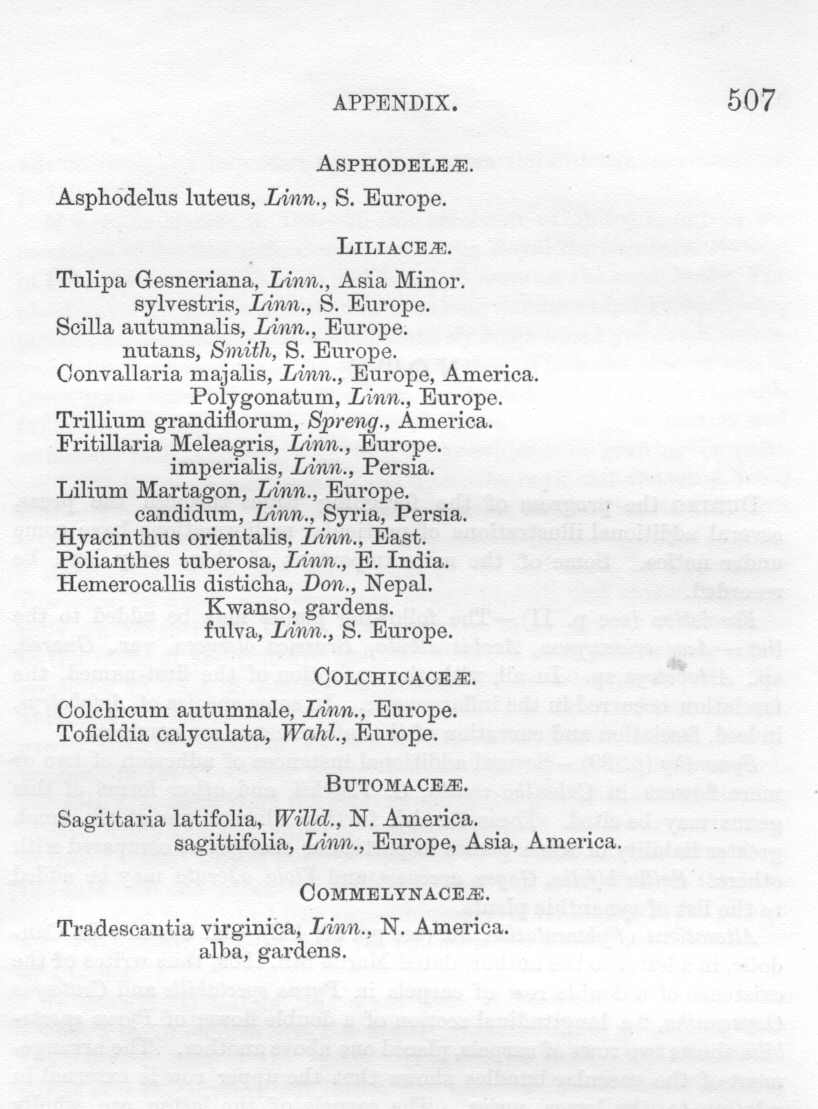 seite_540.jpg