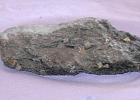Gneis mit Pyrit (metamorphes Gestein)