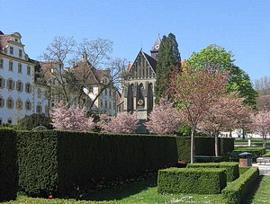 Prälatur und Klosterkirche im Schmuck der blühenden Kirschen