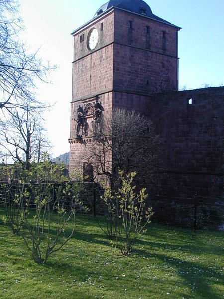 Der Torturm