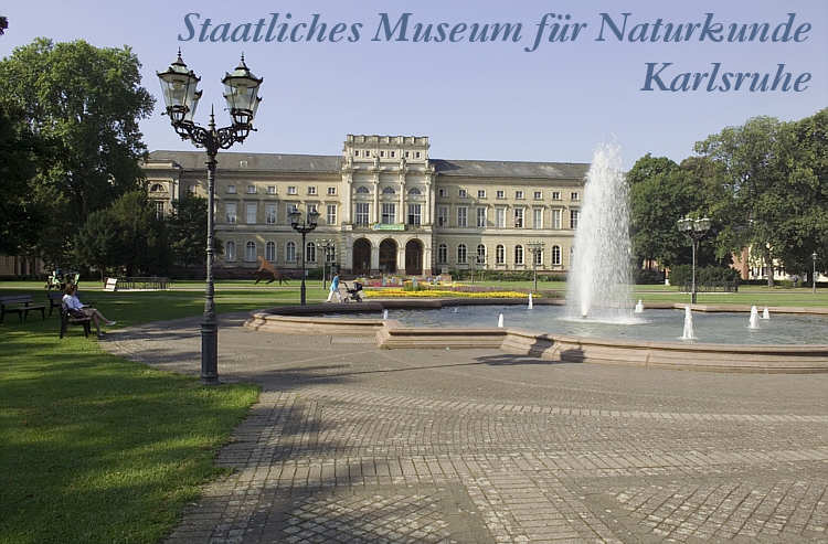 Staatliches Museum für Naturkunde Karlsruhe