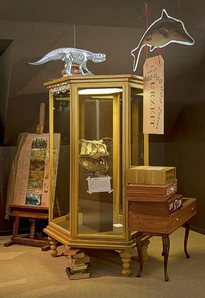 Junes Schloss Stuttgart: Wunderkammer Urzeit 