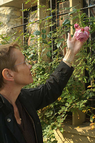 Heiek Lüttich in Laiffen