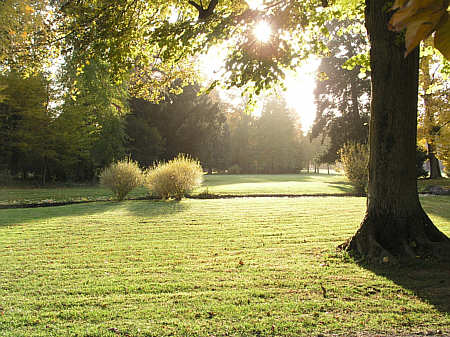Der Schlosspark von Favorite im Licht des Spätherbstes