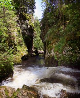 Bild: Schluchtensteig Schwarzwald, In der Haslachklamm bei Lenzkirch. © Schluchtensteig Schwarzwald