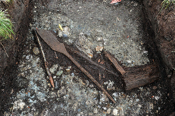 Paddel und bearbeitete Hölzer im Uferbereich des ehemaligen Federsees. Foto: W. Hohl, LAD