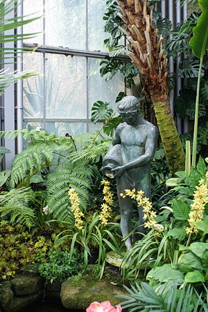 Im Gewächshaus des Botanischen Gartens Karlsruhe