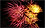 Feuerwerk